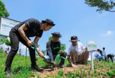 Pulihkan Hutan Bekas Tambang, Aksi Nyata Kelompok Tani Selamatkan Lingkungan Bersama BRI Menanam-Grow & Green