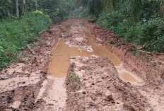 Akses Jalan Desa Epil Barat Muba butuh Perbaikan, Begini Kondisi Jalannya 