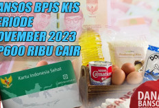 Bansos BPJS KIS Periode November 2023 Dibuka