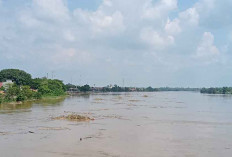 Debit Air Sungai Musi Bakal Naik Lagi, Ini Tanda-tandanya 