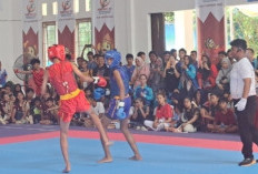  Panas di Sungai Lilin: Wushu PORPROV XV Sumsel Resmi Digelar, 14 Daerah Berebut 105 Medali