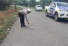 Maut di Tikungan,  Pengendara Motor Tewas Tertabrak Truk Box di Jalan Sekayu–Sungai Lilin