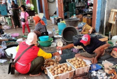 Raup Omset Ratusan Ribu Sehari dari Penjualan Buah Sawo di Sanga Desa Muba 