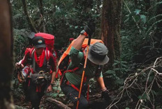 Catat! Pendakian Gunung Dempo Pagaralam Sumsel Ditutup, Mulai Tanggal 2 hingga 8 Juni 