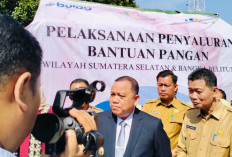 Kabupaten Muba Raih Penghargaan Zona Hijau dengan Opini Kualitas Tertinggi, Prestasi Gemilang dalam Pelayanan