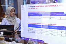 BKN Rilis Data Penerbitan SK PPPK 2024: Puluhan Instansi Sudah Bergerak