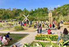 Merapi Park: Destinasi Wisata Instagramable Terbaru di Yogyakarta!