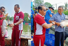 Wujudkan Ketahanan Pangan dan Swasembada, Kapolda Sumsel Panen 2,5 Ton Ikan 