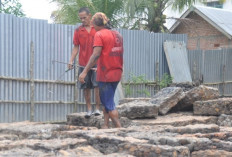 Curah Hujan Tinggi di Sanga Desa, Produksi Karet Petani Menurun Drastis