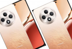 OPPO Reno12 F 4G: Desain Stylish, Performa Andal, Harga Terjangkau