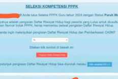 Lah Kog Aneh, Pengumuman Hasil Seleksi PPPK 2024 Muncul Paruh Waktu, Calon Pegawai Ahli Pertama Merasa Sedih