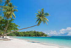 Pulau Bintan: Surga Tersembunyi di Kepulauan Riau