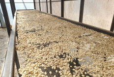 Ajak Para Petani Optimalkan Hasil Panen