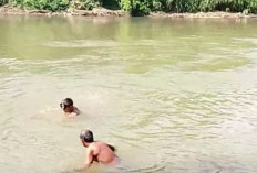 Keluarga Yakin Tulang di Sungai Kelingi Milik Kelvin, Remaja yang Jatuh dari Jembatan Muara Beliti