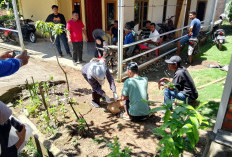 Tim Dokter Hewan Vaksinasi Anjing dan Kucing di Tanjung Payang, Antisipasi Gigitan Hewan Liar