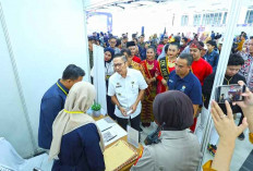 Ratu Dewa Buka Job Fair Palembang 2023 di PTC Mall, 3.000 Lowongan Kerja Tersedia!