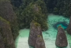 Raja Ampat: Surga Tersembunyi di Ujung Papua