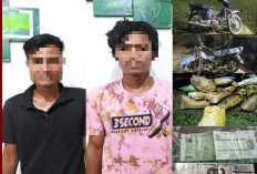 Gagal Bawa Kabur 900 Kg Sawit Curian, Dua Maling Brondolan Diringkus , Satu Pelaku Jadi Buronan 