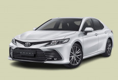 Toyota Camry Hybrid: Sedan Mewah dengan Performa Hybrid yang Canggih