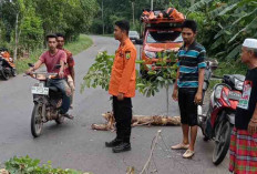 Diterjang Banjir, Akses Jalan Negara di Desa Bailangu Jebol, Berpotensi Putus 