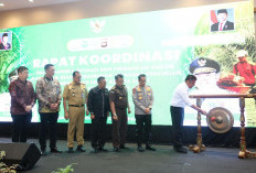 Gubernur Herman Deru Tegaskan Pencegahan Jadi Kunci Penanganan Pencurian TBS Sawit di Sumsel