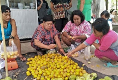 Hindari Kerugian Besar, Pedagang Jeruk di Sanga Desa Terpaksa Jual Harga Miring