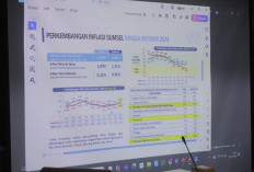 Jelang  Nataru, Stok Pangan di Sumsel Aman 