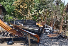  Rumah dan Warung Manisan di Padang Bindu Terbakar, Kerugian Capai Rp100 Juta