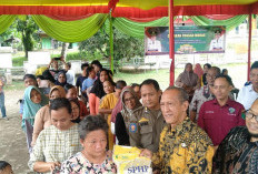 Sediakan 1.600 Paket Sembako Murah di Kecamatan Lais, Demi Jaga Stabilitas Harga dan Daya Beli Masyarakat