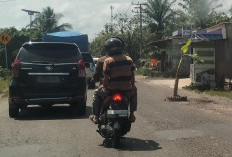 Berpotensi Kecelakaan Lalulintas, Warga Desa Tanjung Durian Muba Tanam Pohon Pisang di Jalinteng 
