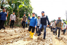 Perdana, Pj Bupati Sandi Fahlepi Tinjau Jalan Rusak di dua Desa Kecamatan Jirak Jaya