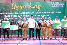 Pekerja Perkebunan Sawit Jadi Peserta BPJS Ketenagakerjaan 