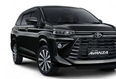 All New Avamza 1.5 G CVT: Siap Menemani Setiap Petualangan Anda  Bersama Keluarga