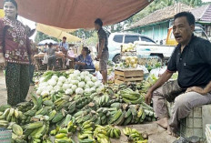 Pasokan Normal, Harga Pisang di Pasaran Sanga Desa Muba Masih Stabil 