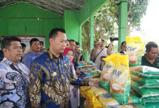 Manfaatkan Lahan Kosong untuk Tanaman Pangan 