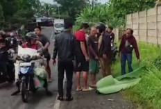 Guru SMPN 27 Rejang Lebong Tewas Kecelakaan di PUT, Musi Rawas Berduka