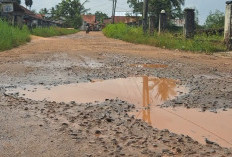 Kampung Tertua di Sungai Lilin Ini Jalannya Butuh Perhatian