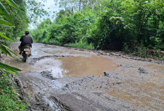  Jalan Tanjung Batu–Payaraman Rusak Parah, Warga Keluhkan Onderdil Kendaraan