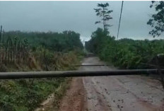 Empat Tiang Listrik Roboh, Jalan Poros Pedamaran Timur OKI Lumpuh