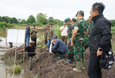 Tim Itjenad Tinjau Program Optimasi Lahan di OKI, Pastikan Berjalan Sesuai Prosedur