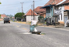 Warga Desa Ngulak III Perbaiki Jalan Berlubang 