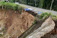 Longsor di Sanga Desa Makan Bahu Jalan Lintas Sekayu–Lubuklinggau, Bupati Muba Segera Surati Gubernur dan PUPR
