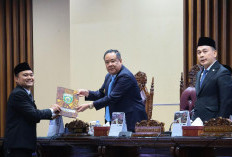 Dua Raperda Inisiatif DPRD Sumsel Dapat Dukungan Penuh Pemprov, Wagub Cik Ujang Hadiri Rapat Paripurna XXIV