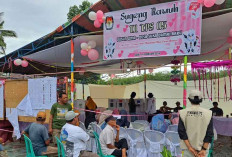 Bernuansa Valetine, TPS di Desa Sukadamai Baru Kecamatan Sungai Lilin, Pemilih Terlihat Semangat 