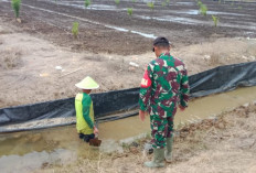 Ajak Masyarakat Jangan Buang Sampah Sembarangan, Ini yang Dilakukan Babinsa Koramil 401-4 Bayung Lencir