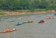 HUT RI Ke-79, Puluhan Nelayan Adu Kecepatan Lomba Balap Perahu Ketek 