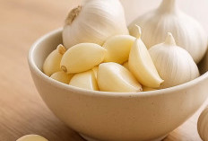 Kekuatan di Balik Aroma Tajam: Menyingkap Manfaat Medis Bawang Putih bagi Tubuh