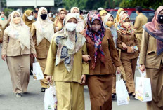 KemenPAN-RB Sebut Pengangkatan ASN Paruh Waktu ke PPPK Tanpa Tes, Ini Besaran Gaji Nya 