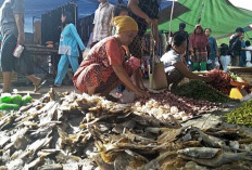 Harga Ikan Asin dan Salai Masih Tetap Normal, Meski Harga Ikan Segar Alami Penurunan 