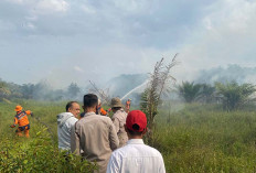 Petugas Berjibaku Padamkan Api Kebakaran Hutan dan Lahan di OKI, Ada Tiga Lokasi 